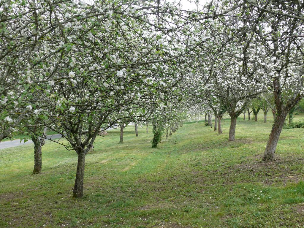 Domaine De Lamassas Hautefage-la-Tour Exterior photo